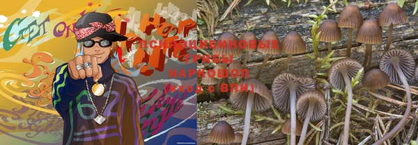 винт Аркадак