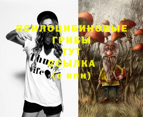 первитин Армянск