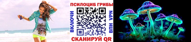 закладки  Горнозаводск  Псилоцибиновые грибы мухоморы 